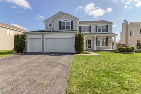 Photo of 25765 S Yellow Pine Drive, Channahon, IL 60410 (MLS # 12465128)