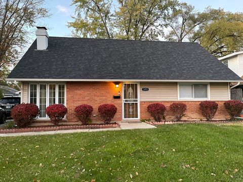 Photo of 171 Frederick Drive, Chicago Heights, IL 60411 (MLS # 12638289)