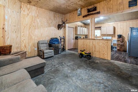 Tiny photo for 2196 Wilderness Retreat Road, Jonesboro, IL 62952 (MLS # EB460016)