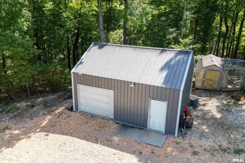 Tiny photo for 2196 Wilderness Retreat Road, Jonesboro, IL 62952 (MLS # EB460016)