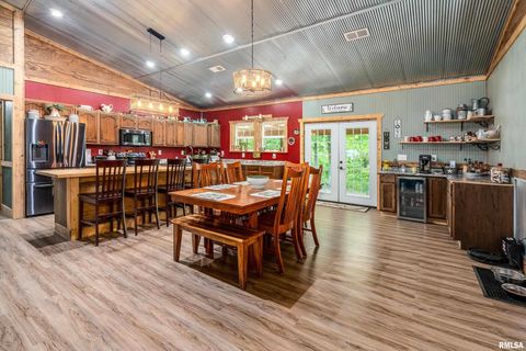 Tiny photo for 2196 Wilderness Retreat Road, Jonesboro, IL 62952 (MLS # EB460016)