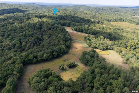 Tiny photo for 2196 Wilderness Retreat Road, Jonesboro, IL 62952 (MLS # EB460016)