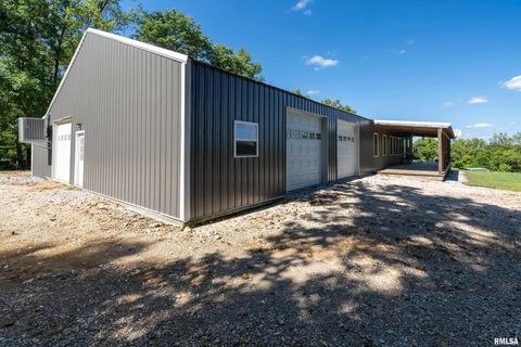 Tiny photo for 2196 Wilderness Retreat Road, Jonesboro, IL 62952 (MLS # EB460016)