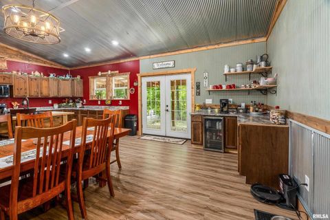 Tiny photo for 2196 Wilderness Retreat Road, Jonesboro, IL 62952 (MLS # EB460016)