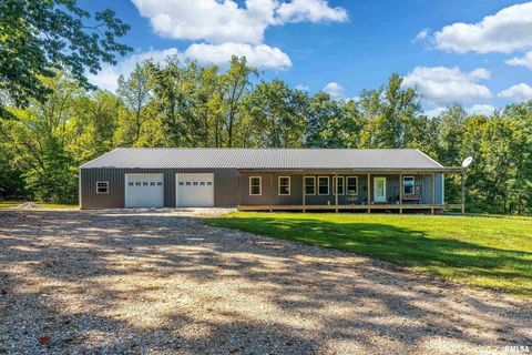 Tiny photo for 2196 Wilderness Retreat Road, Jonesboro, IL 62952 (MLS # EB460016)