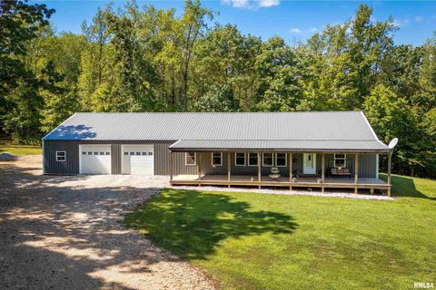 Photo of 2196 Wilderness Retreat Road, Jonesboro, IL 62952 (MLS # EB460016)