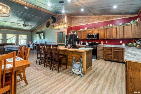 Tiny photo for 2196 Wilderness Retreat Road, Jonesboro, IL 62952 (MLS # EB460016)