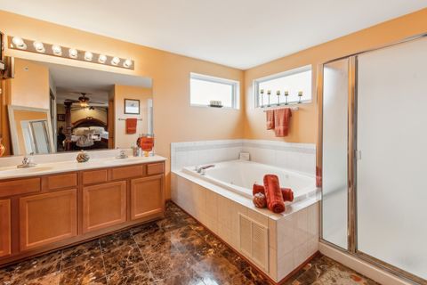 Tiny photo for 6500 Pasture Side Trail, Matteson, IL 60443 (MLS # 12466097)