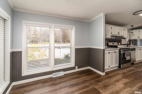 Tiny photo for 14574 EASTLAND Road, Marion, IL 62959 (MLS # EB460449)