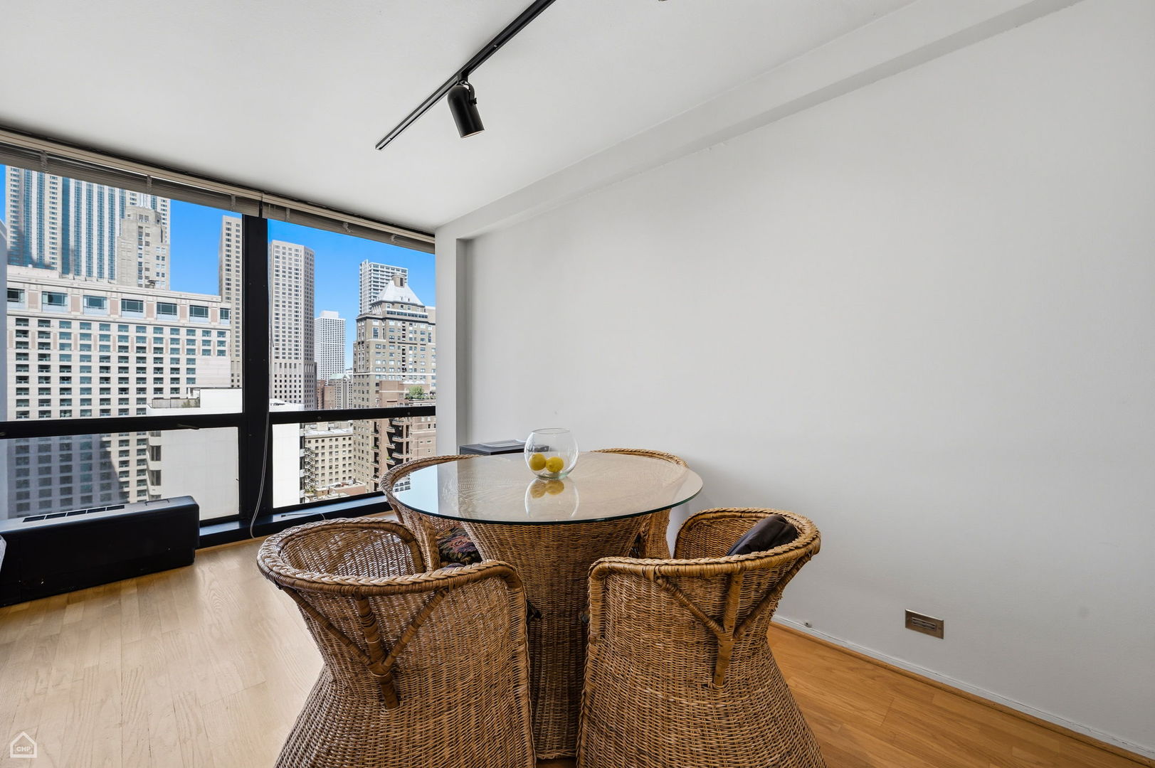 910 N Lake Shore Drive 2518
