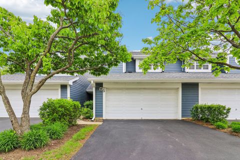 Photo of 29 Sumac Lane, Schaumburg, IL 60193 (MLS # 12630647)