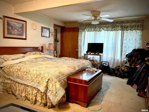 Tiny photo for 545 State Route 127, Jonesboro, IL 62952 (MLS # QC4269191)