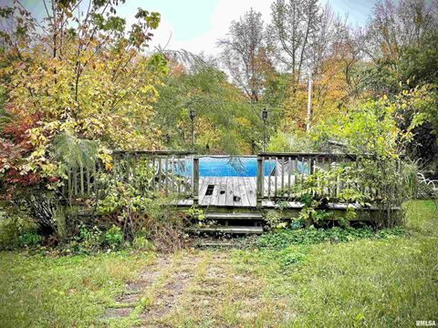 Tiny photo for 545 State Route 127, Jonesboro, IL 62952 (MLS # QC4269191)