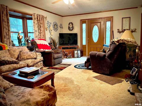 Tiny photo for 545 State Route 127, Jonesboro, IL 62952 (MLS # QC4269191)