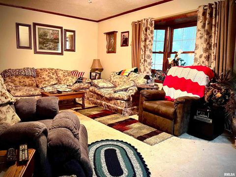 Tiny photo for 545 State Route 127, Jonesboro, IL 62952 (MLS # QC4269191)