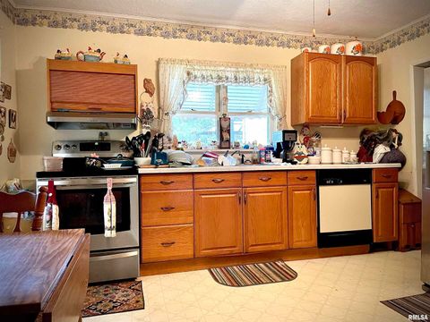 Tiny photo for 545 State Route 127, Jonesboro, IL 62952 (MLS # QC4269191)