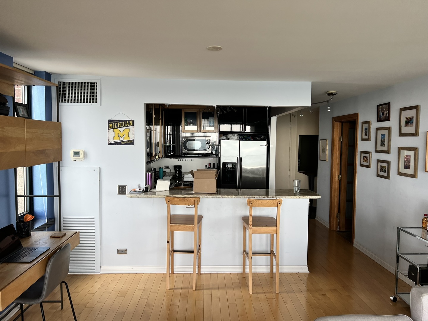 3660 N Lake Shore Drive 4007