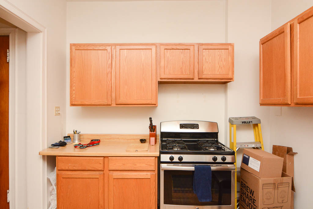 1408 W ROSEMONT Avenue 1