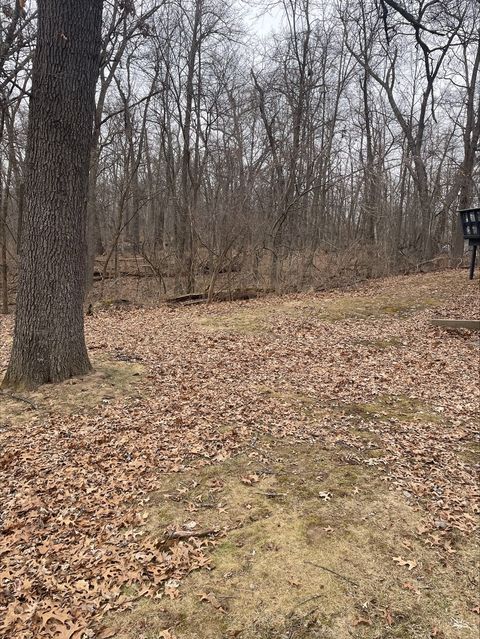 Tiny photo for 55 Fair Oaks Drive, Putnam, IL 61560 (MLS # 12575625)