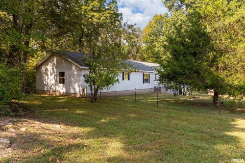 Tiny photo for 375 Lakota Way, Carbondale, IL 62902 (MLS # QC4270065)