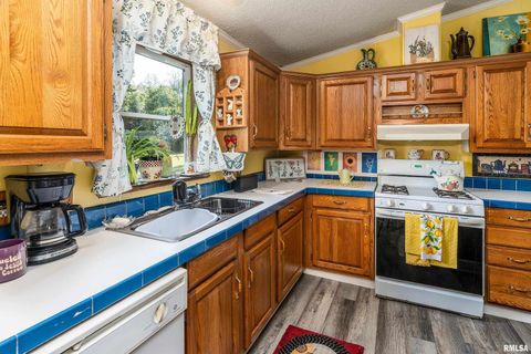 Tiny photo for 375 Lakota Way, Carbondale, IL 62902 (MLS # QC4270065)