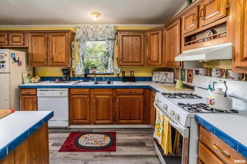 Tiny photo for 375 Lakota Way, Carbondale, IL 62902 (MLS # QC4270065)