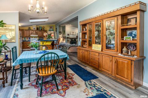 Tiny photo for 375 Lakota Way, Carbondale, IL 62902 (MLS # QC4270065)