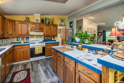 Tiny photo for 375 Lakota Way, Carbondale, IL 62902 (MLS # QC4270065)