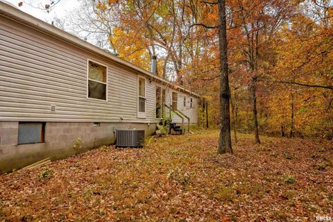 Tiny photo for 375 Lakota Way, Carbondale, IL 62902 (MLS # QC4270065)