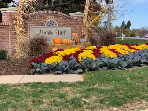 Tiny photo for 30W038 Willow Lane #D, Warrenville, IL 60555 (MLS # 12572145)