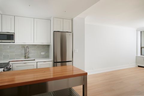 Tiny photo for Chicago, IL 60610 (MLS # 12596003)