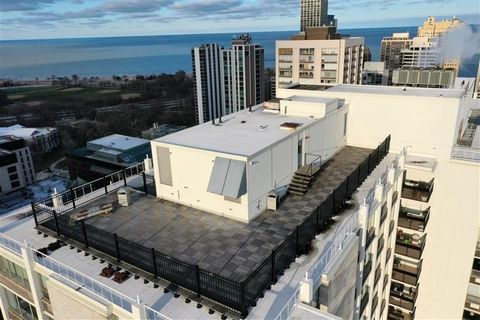 Tiny photo for Chicago, IL 60610 (MLS # 12596003)