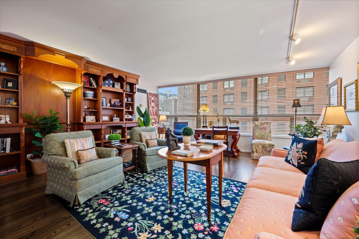 110 E Delaware Place 1702