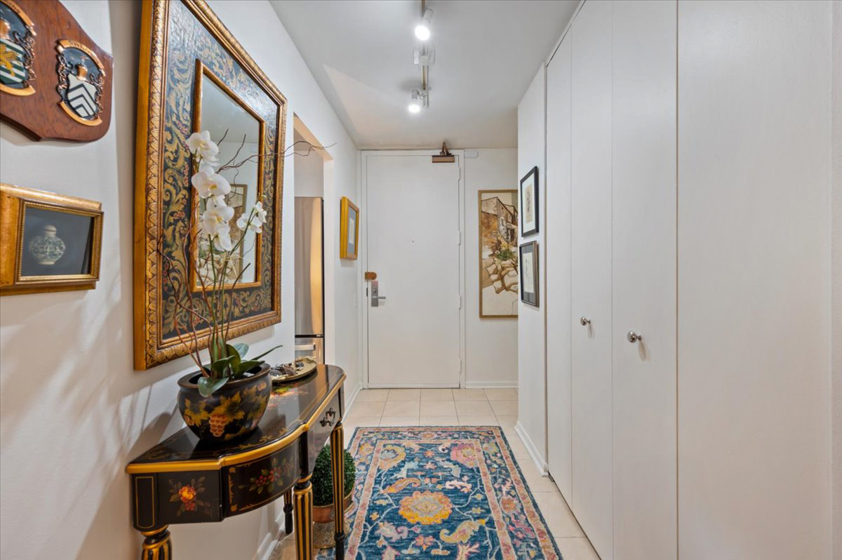 110 E Delaware Place 1702