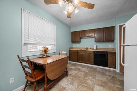 Tiny photo for 617 6TH Street, Camanche, IA 52732 (MLS # QC4270042)