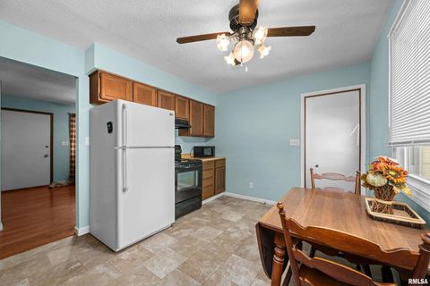 Tiny photo for 617 6TH Street, Camanche, IA 52732 (MLS # QC4270042)