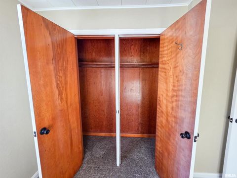 Tiny photo for 110 HICKORY Street, Flora, IL 62839 (MLS # EB460718)