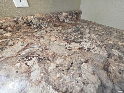 Tiny photo for 110 HICKORY Street, Flora, IL 62839 (MLS # EB460718)