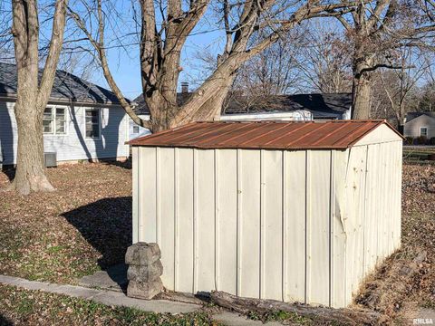 Tiny photo for 110 HICKORY Street, Flora, IL 62839 (MLS # EB460718)