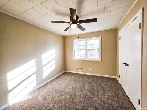 Tiny photo for 110 HICKORY Street, Flora, IL 62839 (MLS # EB460718)