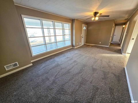 Tiny photo for 110 HICKORY Street, Flora, IL 62839 (MLS # EB460718)