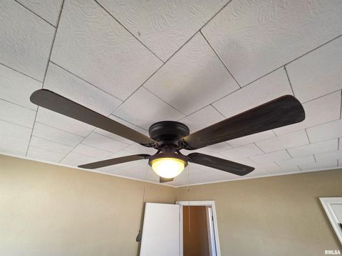 Tiny photo for 110 HICKORY Street, Flora, IL 62839 (MLS # EB460718)