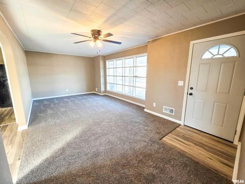 Tiny photo for 110 HICKORY Street, Flora, IL 62839 (MLS # EB460718)