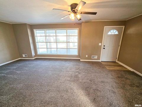 Tiny photo for 110 HICKORY Street, Flora, IL 62839 (MLS # EB460718)