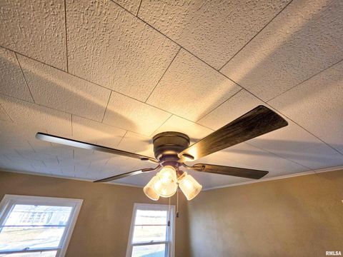 Tiny photo for 110 HICKORY Street, Flora, IL 62839 (MLS # EB460718)