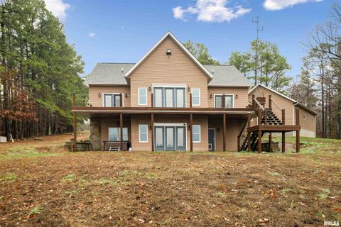 Tiny photo for 1115 HILLTOP Lane, Simpson, IL 62985 (MLS # EB460029)