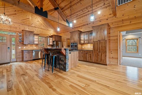 Tiny photo for 1115 HILLTOP Lane, Simpson, IL 62985 (MLS # EB460029)