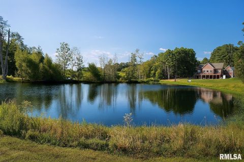 Tiny photo for 1115 HILLTOP Lane, Simpson, IL 62985 (MLS # EB460029)