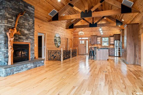 Tiny photo for 1115 HILLTOP Lane, Simpson, IL 62985 (MLS # EB460029)