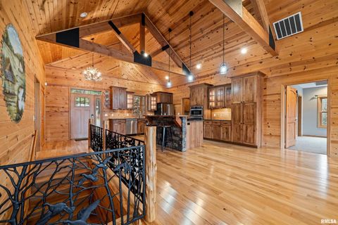 Tiny photo for 1115 HILLTOP Lane, Simpson, IL 62985 (MLS # EB460029)